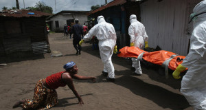 Sierra Léone, Ebola « têtu » : Un nouveau cas diagnostiqué.