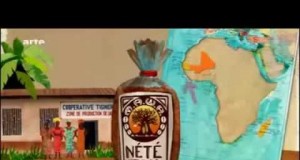 Santé & Alimentation : Les Africains abandonnent le « cube Maggi ». Dieu Merci !