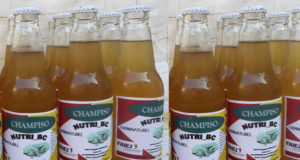 Togo, Mérite mention : Production de boissons nutritionnelles à base de champignons médicinaux, oeuvre de la jeune société « Sois Éclairé »