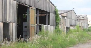 Grand reportage : Datcha, de l’usine textile à un repaire de souris et de reptiles