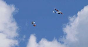Rwanda, Mérite mention : Des drones pour livrer des lots de sang à des centres de santé.