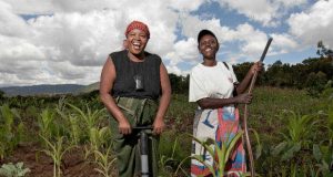 Quelle politique de développement pourrait-elle faire émerger l’Afrique?