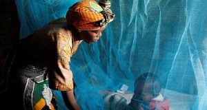 Paludisme : Vaincu d’ici une dizaine d’années ?