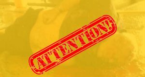 Togo, Mort d’un Israélien a la SNPT : Les nouveaux maîtres du phosphate, coupables ou victimes ?