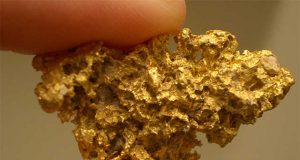 Togo : De l’Or exploité en catimini par la société Wafex !