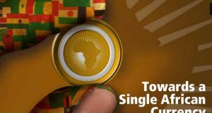 Union Monétaire et Convergence : Efficacité dans les échanges et Souveraineté africaine.