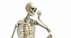 Santé : Pourquoi notre squelette est si friand de sucre?