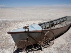 Changements Climatiques : Pourquoi Notre Cerveau Nous Pousse-t-il à Nier l’Évidence?