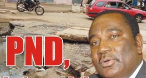 Togo : PND, la Farandole des Copains-Pilleurs