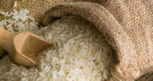 La Tyrannie du Riz en Afrique de l’Ouest / Togo : Selon les desiderata des Seigneurs