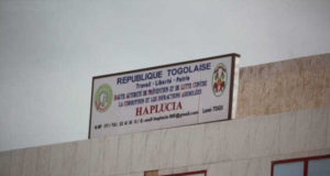 Togo : HAPLUCIA, le Nouveau gadget pour amuser la galerie haplucia