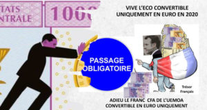 Du Franc CFA à l’ECO : Évolution et Renforcement de la Servitude Volontaire ! du franc cfa a eco