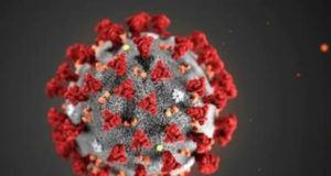 Coronavirus : 15 réponses à vos questions