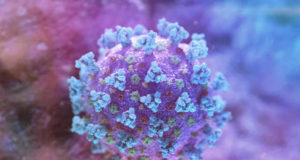 La pandémie du Covid-19, une histoire de protéines Covid-19