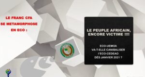 Réforme Française à minima du Franc CFA en UEMOA : Une réponse à la bureaucratie des Chefs d’Etat de la CEDEAO ?