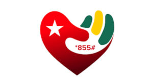 Togo, Novissi : Faire mieux que le folklore