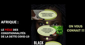 Afrique, Covid-19 et Endettement : Besoin de sécurité sanitaire et de souveraineté économique