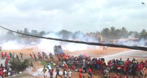 Etude sur les dangers du gaz lacrymogène : Hypotension, mort cellulaire, mutations et altérations génétiques repression manifestants pnp