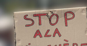 Togo / Mesures contre la vie chère : Le verre toujours à moitié vide