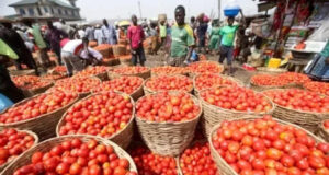 Togo / Tensions entre l’EPAM et les grossistes de tomate : Veille Economique donne raison aux vendeuses