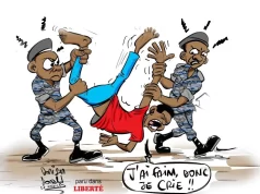 Togo: Gouvernement Terroriste, Incompétent et Gaspilleur de fonds publics