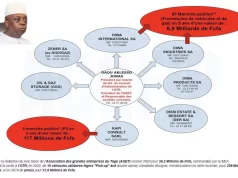 Togo / Marchés Publics et Corruption: Projecteurs sur Jonas Aklesso Daou… La toile des sociétés de Jonas Aklessou Daou | Infog: ACGFiP