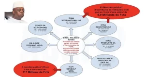 Togo / Marchés Publics et Corruption: Projecteurs sur Jonas Aklesso Daou… La toile des sociétés de Jonas Aklessou Daou | Infog: ACGFiP