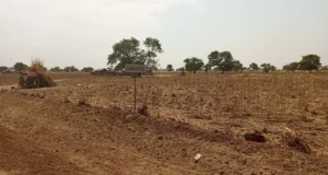 Togo / Prix de l’échec de Faure Gnassingbé: PURS, Bilan mitigé. Filières soja, cajou et karité, Chaos organisé. Le village de Sansiega dans la Région des Savanes, Togo | Photo: laabali