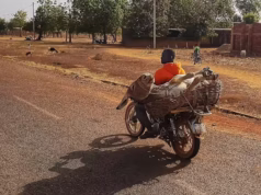 Togo, Ghana, Burkina Faso… La Chine au coeur d’un trafic de peaux d’âne Transport d'un âne à mobylette pour vendre sa viande et/ou sa peau au marché, Burkina Faso | Photo: Wikipedia
