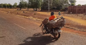 Togo, Ghana, Burkina Faso… La Chine au coeur d’un trafic de peaux d’âne Transport d'un âne à mobylette pour vendre sa viande et/ou sa peau au marché, Burkina Faso | Photo: Wikipedia