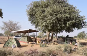 Togo: L’impact de la prorogation de l’état d’urgence dans les Savanes sur les Libertés publiques et le Tissu socio-économique Des éléments des Forces Armées Togolais déployés dans le nord du Pays à la frontière avec le Burkina Faso, 17 février 2020 | Photo: AFP / Pius Utomi Ekpei