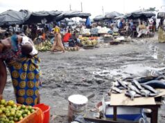 Togo: Derrière une illusion de décentralisation, Faure Gnassingbé centralise sa dictature et détruit les villes togolaises