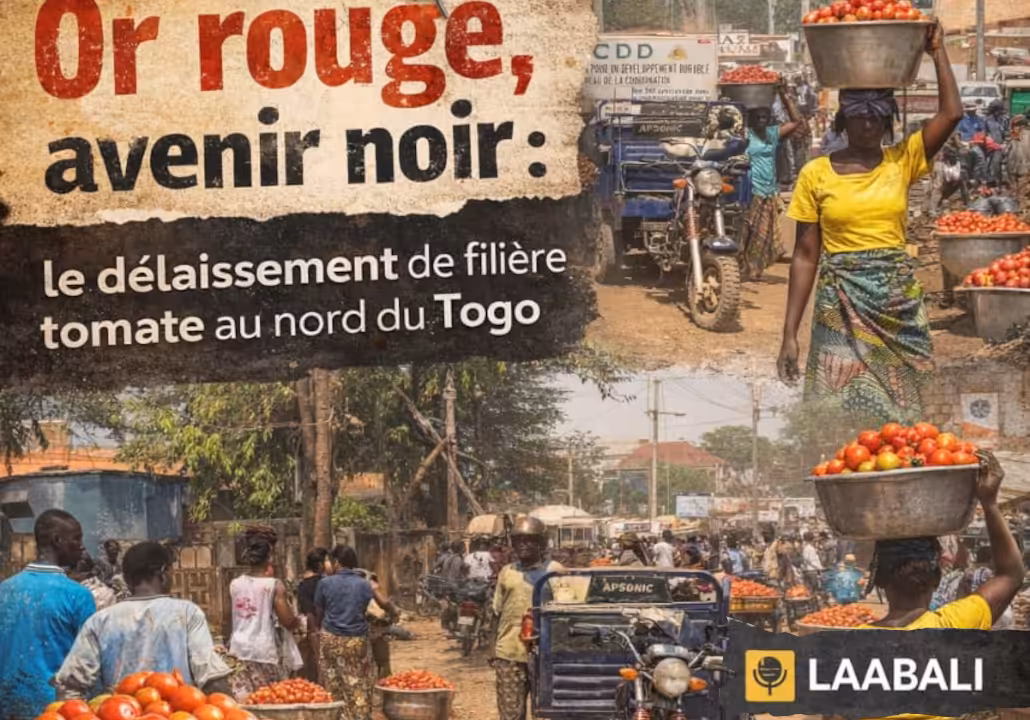 Infog: Laabali