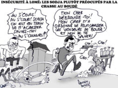 Togo: Barbarie et Indiscipline des corps habillés, l’Autre Origine des Drames Sur Nos Routes