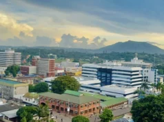 La Prison des Devises: Comment la Dépendance au Dollar Asphyxie le Malawi