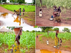 Togo / PEAT 1: A Dapaong, Près de 85 millions de FCFA détournés. Des entreprises fautives refusent de donner des documents aux auditeurs À Gbentchal au Kpendjal dans le nord du Togo, une jeune fille ramasse de l'eau stagnante qui servira à boire et à préparer la nourriture | Photo / Archives: Breezy Baldwin / Flickr