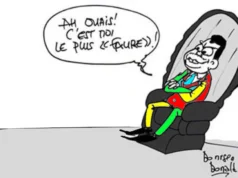 Togo / De la Fiction parlementaire à la réalité monocratique: Analyse critique de l’architecture constitutionnelle du 06 Mai 2024, imposée au peuple togolais