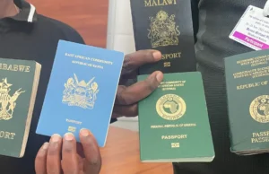 Togo: L’exemption de visa pour les Africains, un miroir aux alouettes panafricain pour masquer la faillite interne Quelques passeports émis par des pays Africains | Photo: DR / GB
