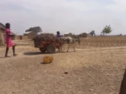 Togo: Alerte sur une insécurité alimentaire aigüe au nord du pays Village de Sanloaga, région des Savanes, Togo | Photo: Laabali.com