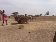 Togo: Alerte sur une insécurité alimentaire aigüe au nord du pays Village de Sanloaga, région des Savanes, Togo | Photo: Laabali.com