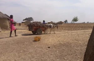 Togo: Alerte sur une insécurité alimentaire aigüe au nord du pays Village de Sanloaga, région des Savanes, Togo | Photo: Laabali.com