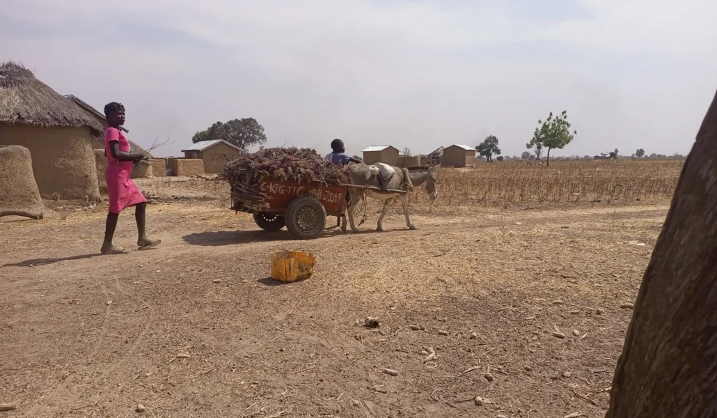 Village de Sanloaga, région des Savanes, Togo | Photo: Laabali.com