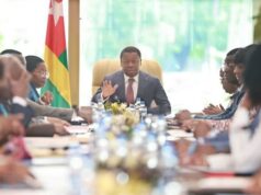 Togo / 50 agents de la Fonction publique à la porte: Entre promotion inconcevable de cumul de poste et comédie institutionnelle, les grands criminels économiques dans la nature… Le premier ministre Togolais Faure Gnassingbé et sa minorité pilleuse de ministrons | Photo / Archives: DR