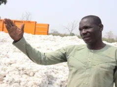 Togo / Retards de paiement. Coût élevé des intrants. Gestion opaque: Olam Face à La Colère Grandissante des Cotonculteurs Un cotonculteur | Photo: agridigitale.tg