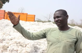 Togo / Retards de paiement. Coût élevé des intrants. Gestion opaque: Olam Face à La Colère Grandissante des Cotonculteurs Un cotonculteur | Photo: agridigitale.tg