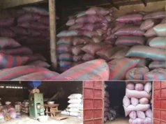 Togo: A quoi servent la Foire Made In Togo et le mois de consommer local? Mévente généralisée, riziculteurs de Kovié dans la tourmente et le désastre Mévente chez les riziculteurs Togolais | Photos & Infog: LeCorrecteur.tg