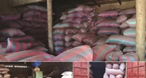 Togo: A quoi servent la Foire Made In Togo et le mois de consommer local? Mévente généralisée, riziculteurs de Kovié dans la tourmente et le désastre Mévente chez les riziculteurs Togolais | Photos & Infog: LeCorrecteur.tg