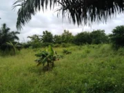 Togo / Insécurité: Adétikope Kladjèmé, Agotimé et ses environs, l’Impossibilité de Sortir la Nuit insecurite Adétikope Kladjème Agotimé togo