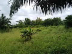 Togo / Insécurité: Adétikope Kladjèmé, Agotimé et ses environs, l’Impossibilité de Sortir la Nuit insecurite Adétikope Kladjème Agotimé togo