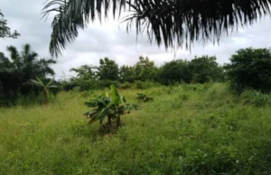 Togo / Insécurité: Adétikope Kladjèmé, Agotimé et ses environs, l’Impossibilité de Sortir la Nuit insecurite Adétikope Kladjème Agotimé togo
